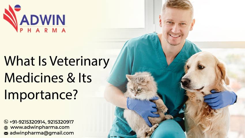 Veterinary Medicines Manufacturers